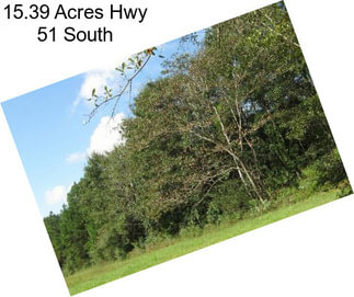 15.39 Acres Hwy 51 South