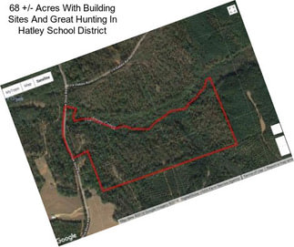 68 +/- Acres With Building Sites And Great Hunting In Hatley School District