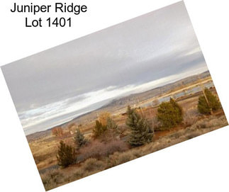 Juniper Ridge Lot 1401