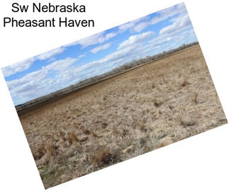Sw Nebraska Pheasant Haven