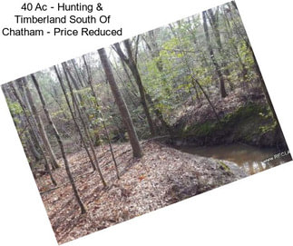 40 Ac - Hunting & Timberland South Of Chatham - Price Reduced