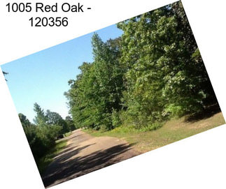 1005 Red Oak - 120356