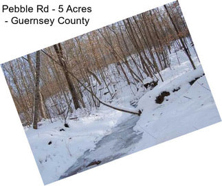 Pebble Rd - 5 Acres - Guernsey County