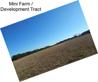 Mini Farm / Development Tract