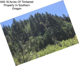 645.16 Acres Of Timbered Property In Southern Oregon