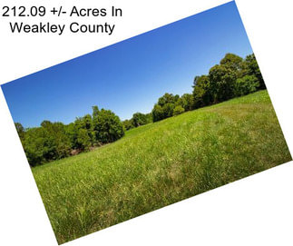 212.09 +/- Acres In Weakley County