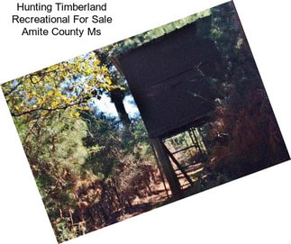 Hunting Timberland Recreational For Sale Amite County Ms