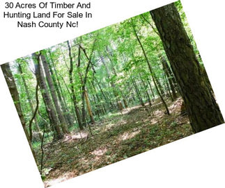 30 Acres Of Timber And Hunting Land For Sale In Nash County Nc!
