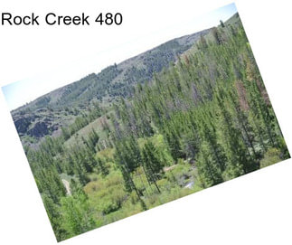 Rock Creek 480