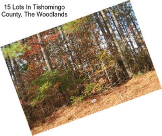 15 Lots In Tishomingo County, The Woodlands