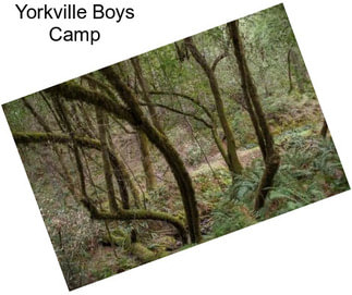 Yorkville Boys Camp