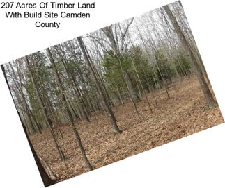 207 Acres Of Timber Land With Build Site Camden County