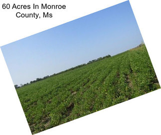 60 Acres In Monroe County, Ms