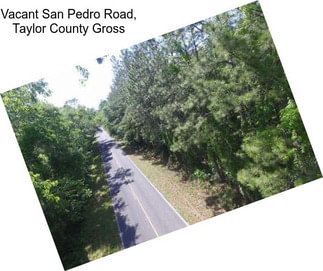 Vacant San Pedro Road, Taylor County Gross