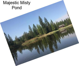 Majestic Misty Pond