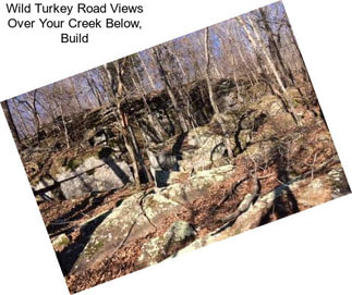 Wild Turkey Road Views Over Your Creek Below, Build