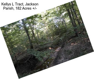 Kellys L Tract, Jackson Parish, 182 Acres +/-