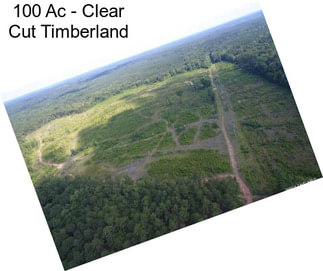 100 Ac - Clear Cut Timberland