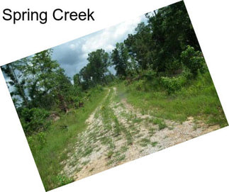 Spring Creek