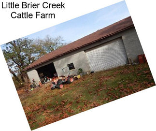 Little Brier Creek Cattle Farm