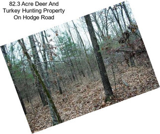82.3 Acre Deer And Turkey Hunting Property On Hodge Road