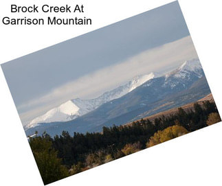 Brock Creek At Garrison Mountain