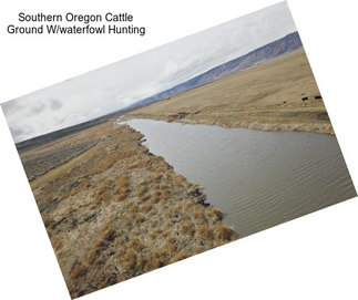 Southern Oregon Cattle Ground W/waterfowl Hunting