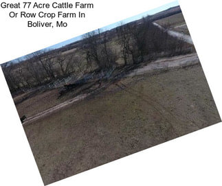 Great 77 Acre Cattle Farm Or Row Crop Farm In Boliver, Mo