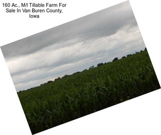 160 Ac., M/l Tillable Farm For Sale In Van Buren County, Iowa