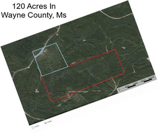 120 Acres In Wayne County, Ms