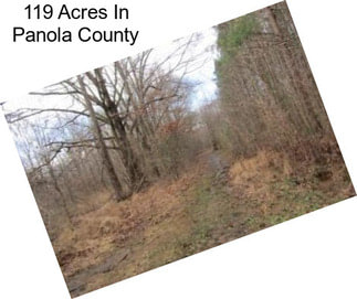 119 Acres In Panola County