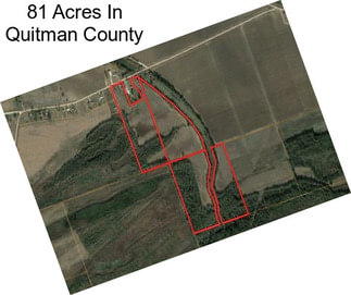 81 Acres In Quitman County