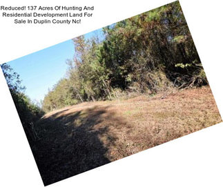 Reduced! 137 Acres Of Hunting And Residential Development Land For Sale In Duplin County Nc!