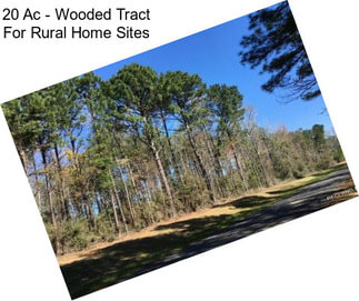 20 Ac - Wooded Tract For Rural Home Sites