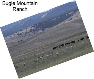 Bugle Mountain Ranch