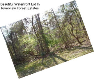 Beautiful Waterfront Lot In Riverview Forest Estates