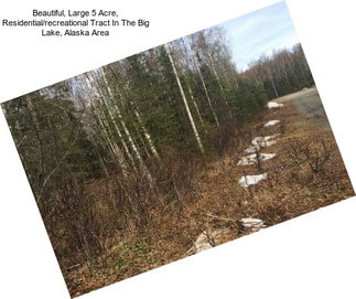 Beautiful, Large 5 Acre, Residential/recreational Tract In The Big Lake, Alaska Area