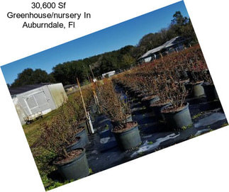 30,600 Sf Greenhouse/nursery In Auburndale, Fl