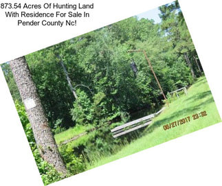 873.54 Acres Of Hunting Land With Residence For Sale In Pender County Nc!