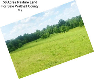 58 Acres Pasture Land For Sale Walthall County Ms