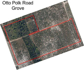 Otto Polk Road Grove