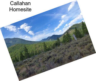 Callahan Homesite
