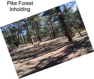 Pike Forest Inholding