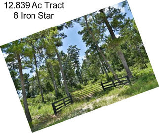 12.839 Ac Tract 8 Iron Star