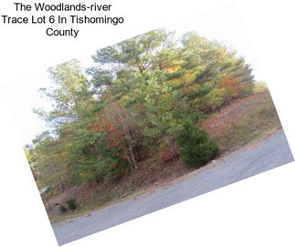 The Woodlands-river Trace Lot 6 In Tishomingo County