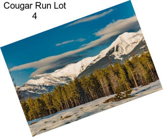 Cougar Run Lot 4