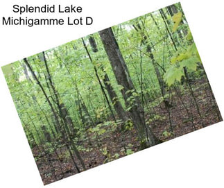 Splendid Lake Michigamme Lot D