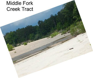 Middle Fork Creek Tract