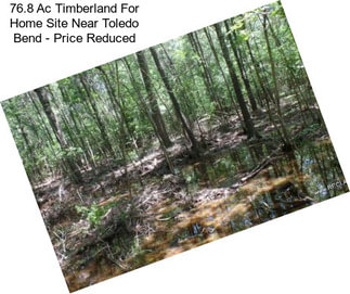 76.8 Ac Timberland For Home Site Near Toledo Bend - Price Reduced