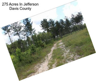 275 Acres In Jefferson Davis County